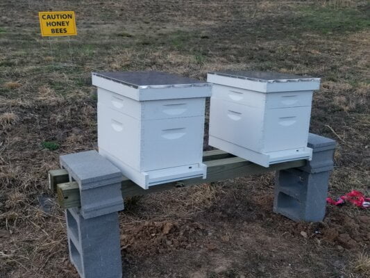 two honeybee hives