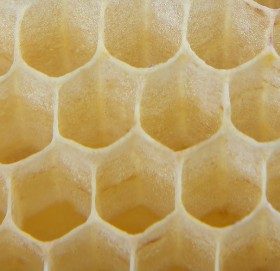 Beeswax Benefits in Skincare