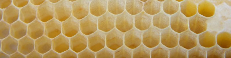 Beeswax Benefits in Skincare