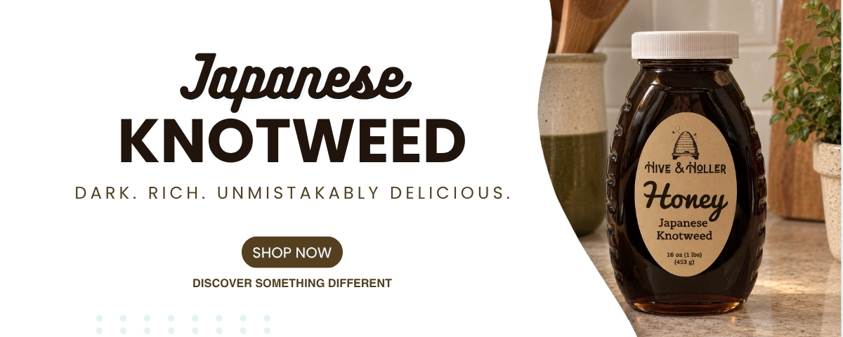 Japanese knotweed honey 4